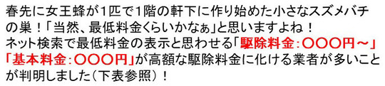 ハチ駆除 料金の怪しげな表示に注意
