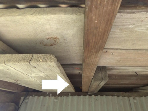 キイロスズメバチが出入りする隙間（西郷村）