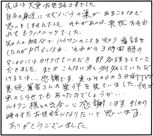 郡山市でキイロスズメバチ駆除の口コミ
