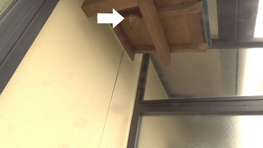 軒下に作ったスズメバチ駆除の現場