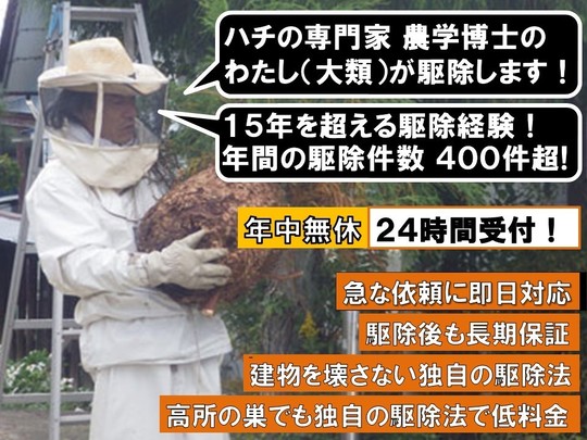 スズメバチ・ハチに刺された体験記6：オオスズメバチに刺されて