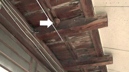 軒下のスズメバチの巣駆除の現場