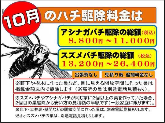 スズメバチ ハチに刺された体験記６ オオスズメバチに刺されて応急処置 蜂駆除のルイワン