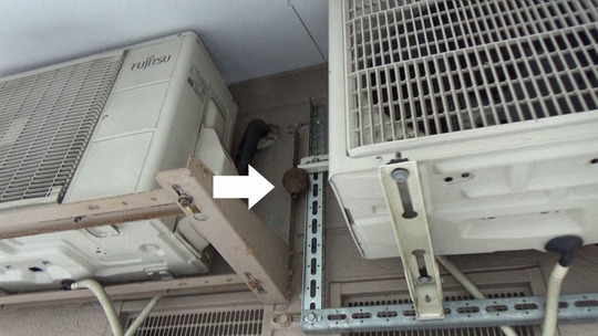 スズメバチ駆除-郡山市で作られた蜂の巣の状況