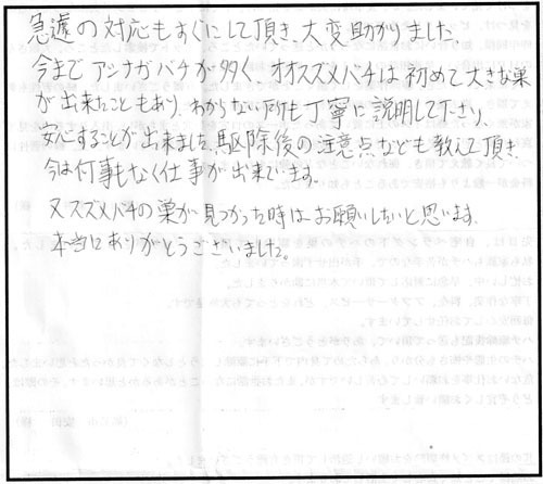 天栄村でスズメバチ駆除の口コミ