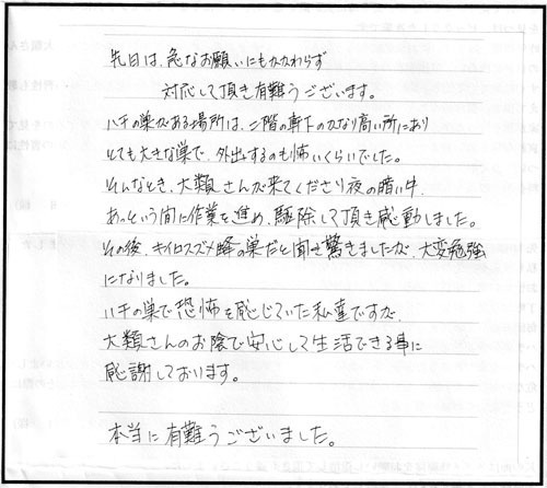 三春町でスズメバチ駆除の口コミ