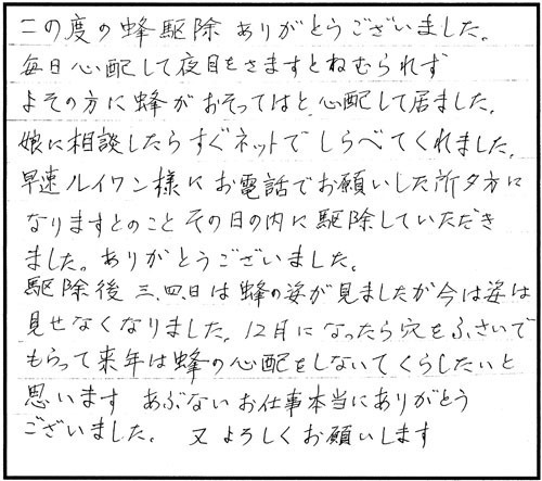 大玉村でスズメバチ駆除のお客様の声