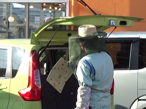 吸い取れなかったミツバチは粘着板で捕虫（郡山市）