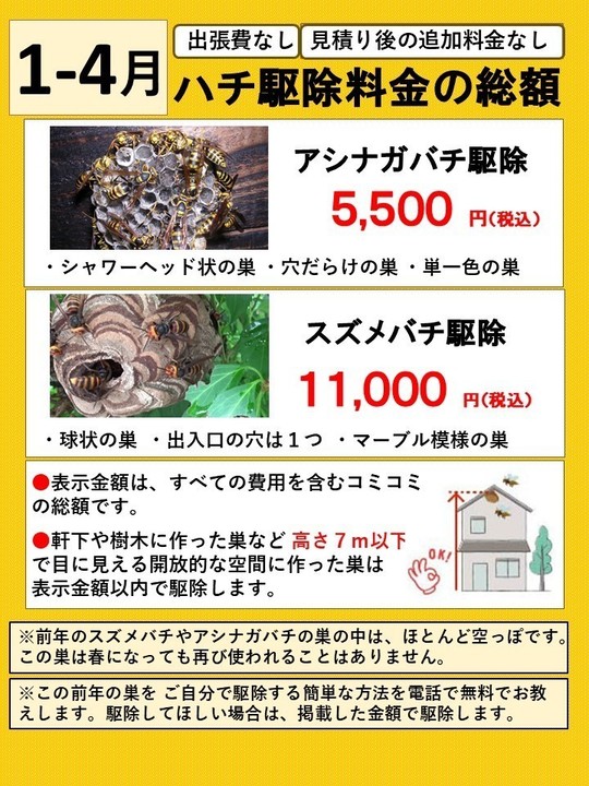 ハチ駆除料金