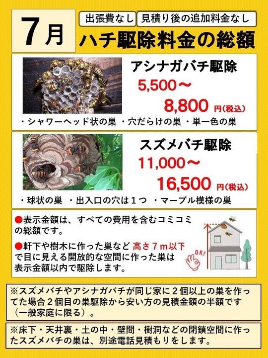 泉崎村でスズメバチ駆除- 泉崎村役場から要請！蜂の巣が通学路沿いの