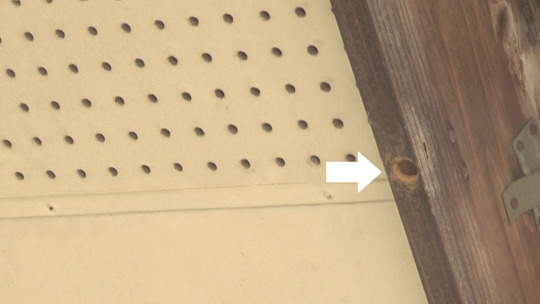 クマバチが開けた穴