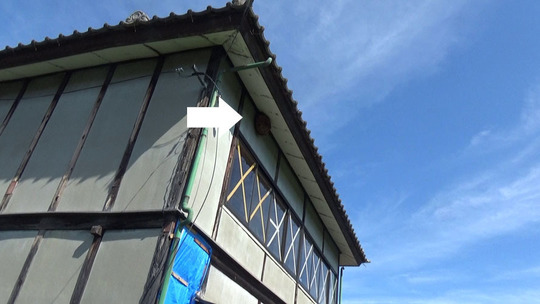 スズメバチ駆除の現場（福島市）