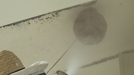 殺虫剤をノズルで巣の中に注入・巣の外に噴射(郡山市)