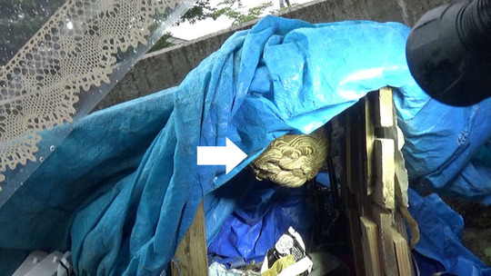 会津若松市でキイロスズメバチ駆除の現場