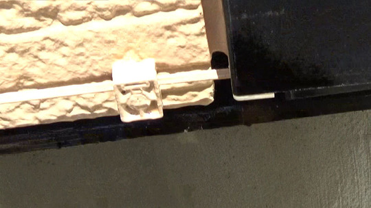 アシナガバチの巣の撤去跡（福島市）