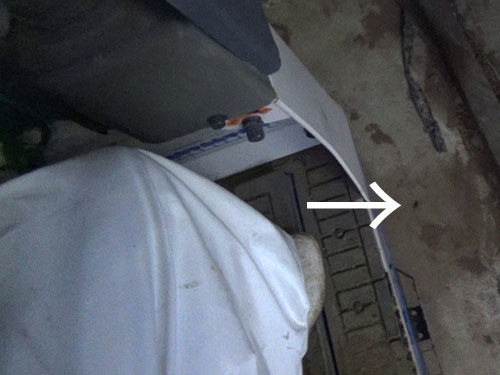 車体を揺すって出てきたスズメバチ（福島市）