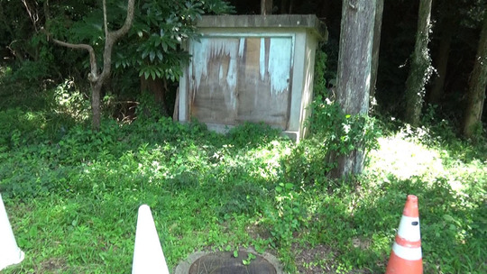 郡山市でスズメバチ駆除の現場