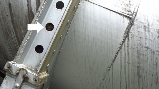 スズメバチが出入りする架台