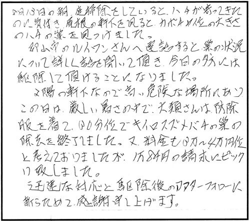 磐梯町でスズメバチ駆除の口コミ