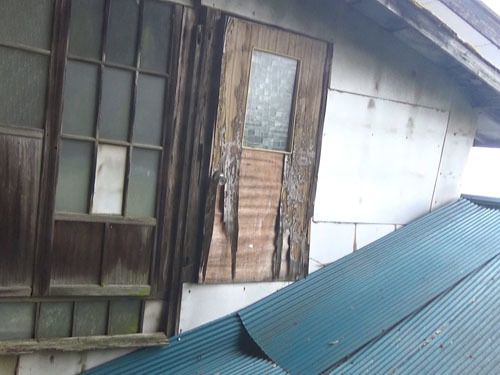 スズメバチ駆除の現場（泉崎村）