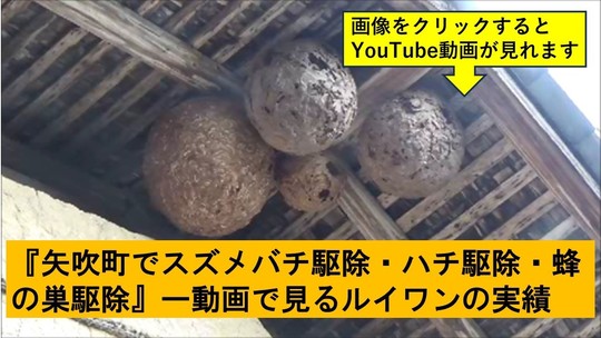 矢吹町でのハチ駆除の実績動画