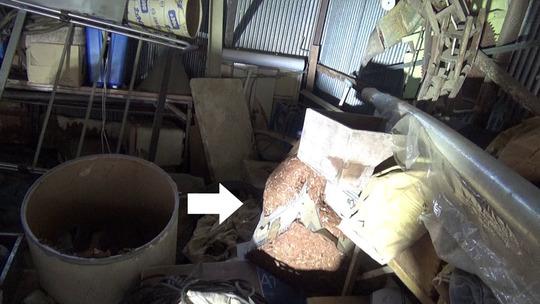 段ボール箱に作ったスズメバチの巣駆除の現場