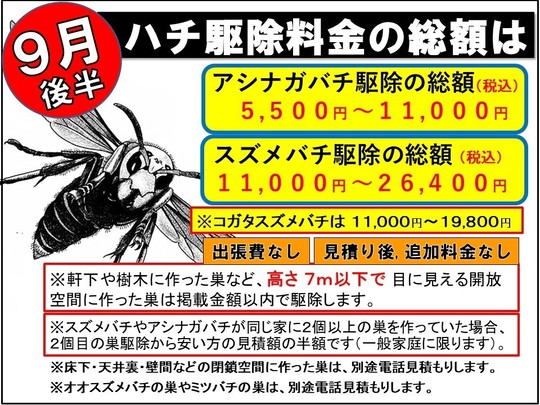 スズメバチ類の比較行動学 動物 行動 学