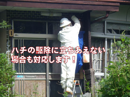 ハチ駆除に立ちあわなくても対応
