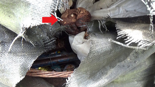 スズメバチ駆除-飯館村でスズメバチの巣を撤去