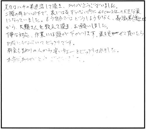 郡山市でスズメバチ駆除の口コミ