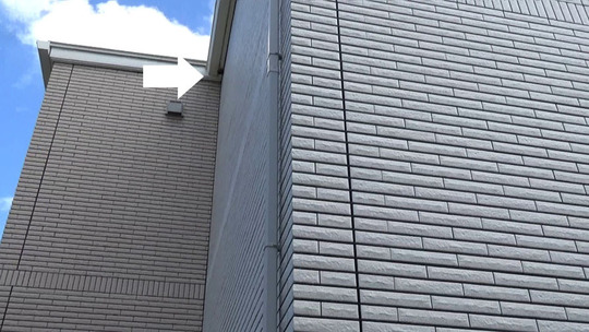 スズメバチ駆除の現場（福島市）