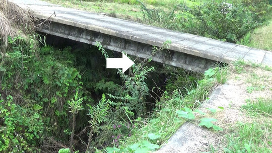 橋の下に作ったスズメバチの巣駆除の現場