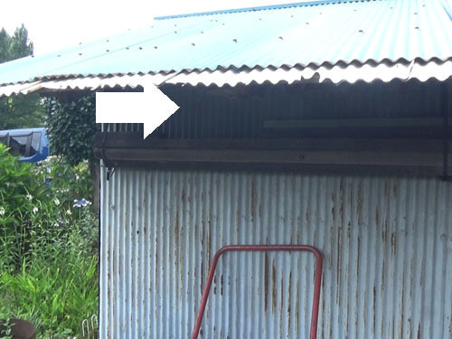 スズメバチ駆除の現場（西郷村）