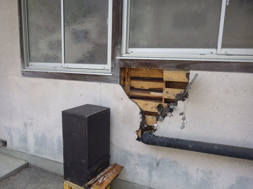 三春町でミツバチ駆除の現場