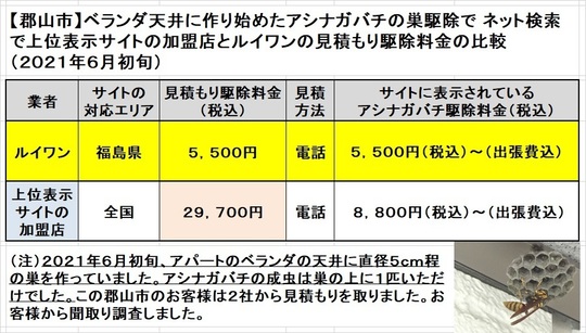 郡山市でアシナガバチの初期巣の駆除料金比較