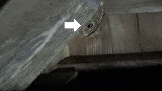 三春町で軒下のスズメバチの巣