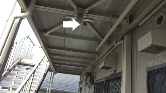 スズメバチ駆除-郡山市でスズメバチ駆除の現場の概要