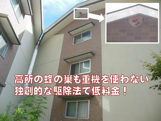 ハチ駆除の技術革新などのコスト削減努力で低料金を実現！
