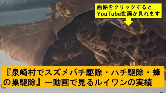 泉崎村でのハチ駆除の実績動画