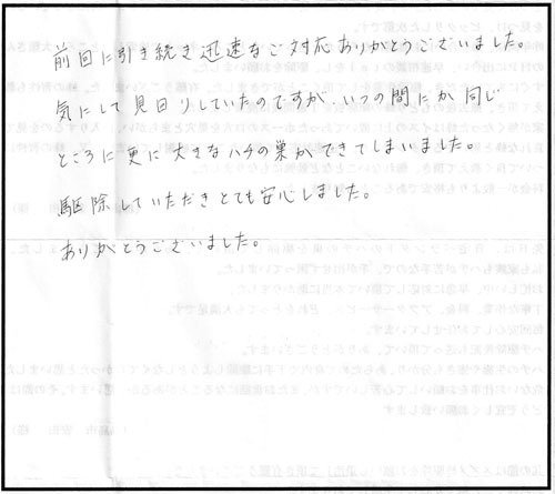 郡山市でスズメバチ駆除の口コミ