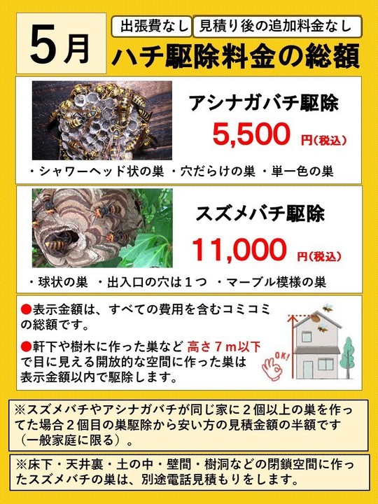キイロスズメバチの引っ越し習性｜ハチ駆除のルイワン