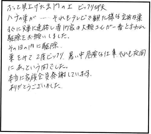 郡山市でスズメバチ駆除のお客様の声
