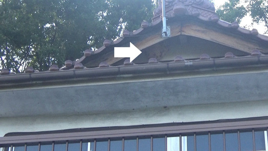 本宮市でスズメバチの駆除