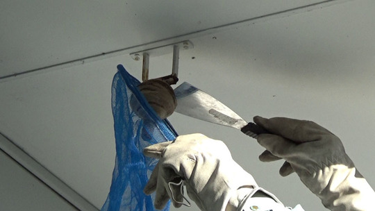 コガタスズメバチの巣を撤去（郡山市）