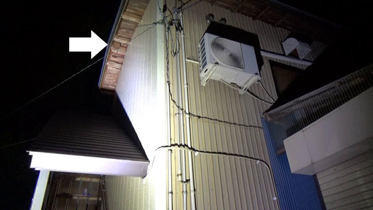 小野町でキイロスズメバチ駆除の現場