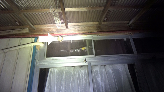 郡山市で軒下にあったコガタスズメバチの巣