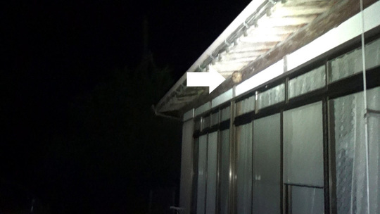 軒下のスズメバチの巣駆除の現場