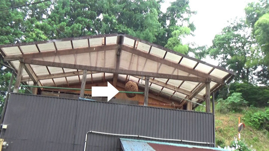 スズメバチ駆除-三春町でスズメバチの巨大な巣の概況