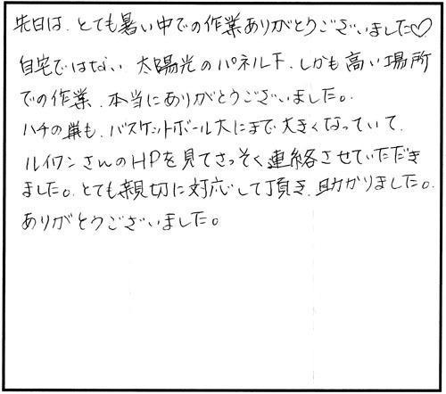 小野町でスズメバチ駆除の口コミ