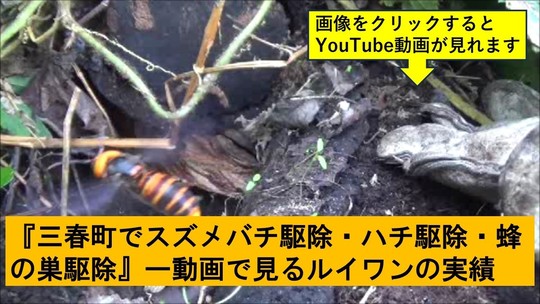三春町でのハチ駆除の実績動画